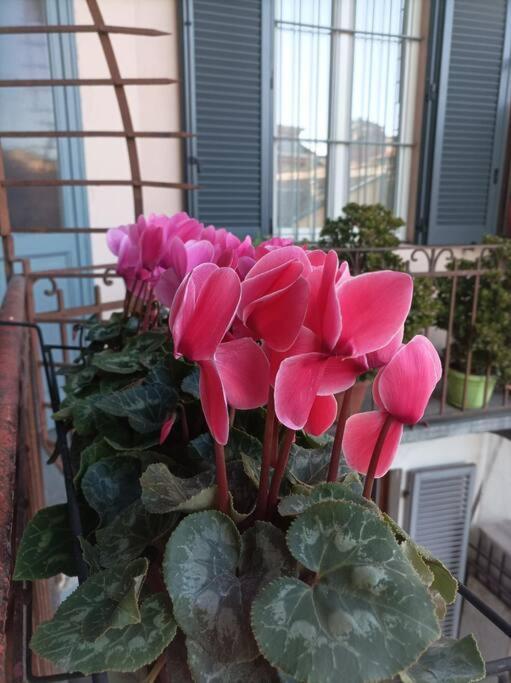 Pane E Tulipani, Cozy Apartment Near City Center تورينو المظهر الخارجي الصورة