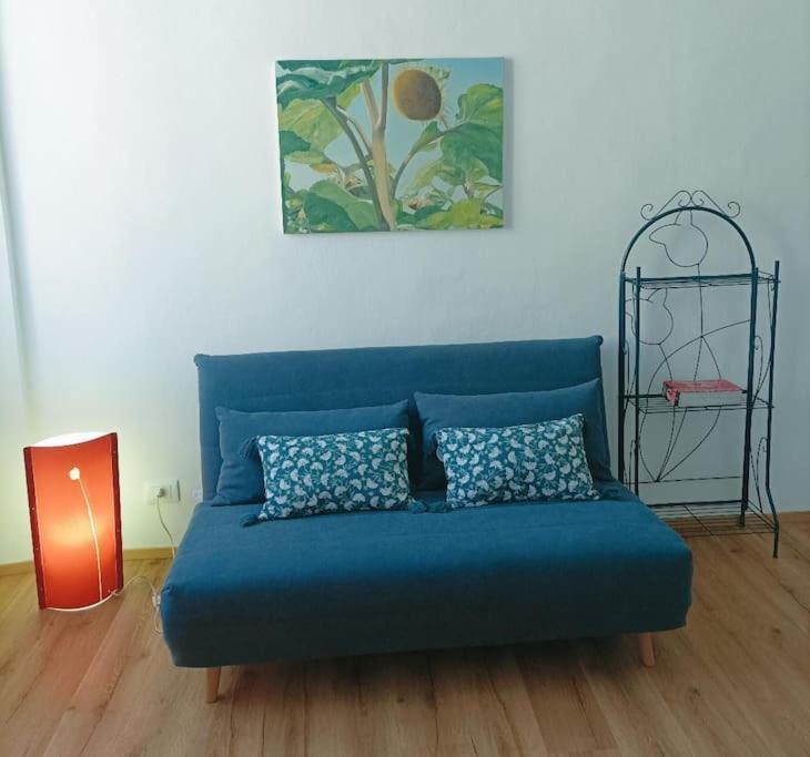 Pane E Tulipani, Cozy Apartment Near City Center تورينو المظهر الخارجي الصورة